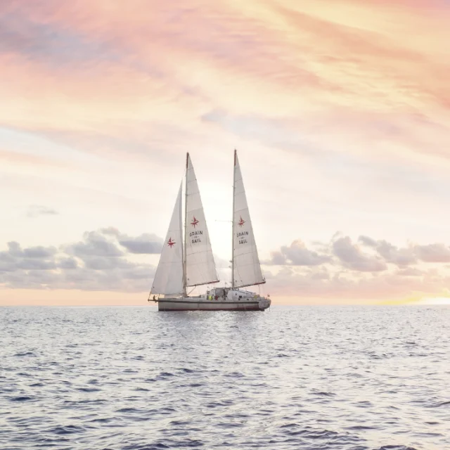 Grain de Sail