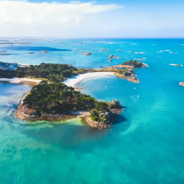 Roscoff 2019 Bd@thierryporiel 1024x683 1